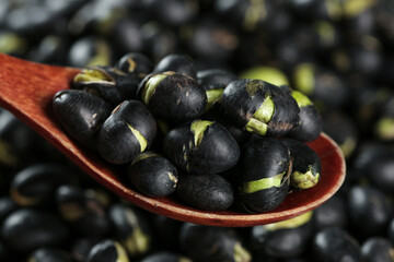 Fresh Black Beans with Green Sprouts in Wooden Spoon - Healthy Organic Legumes for Cooking