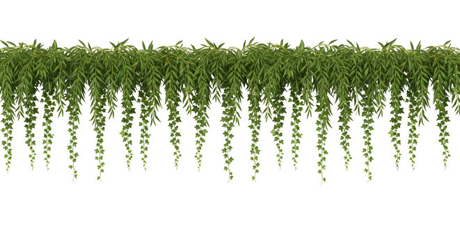 Hanging greenery brings a vibrant, natural touch