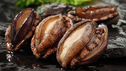 Fresh Caught Abalone Shells on Rocks - Sea Mollusk Closeup