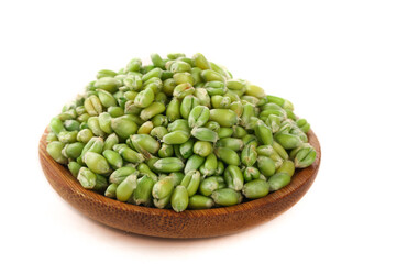 Fresh Green Wheat Kernels in Wooden Bowl - Henan Farm Produce