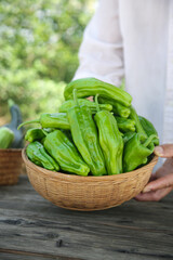 Fresh Green Peppers in Wicker Basket - Home Cooking Ingredients