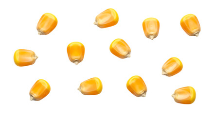 Isolated Yellow Corn Kernels on a Black Background for Food Concept