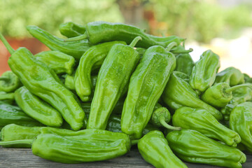 Fresh Green Hunan Tiger Peppers for Asian Cooking and Spicy Home Cuisine