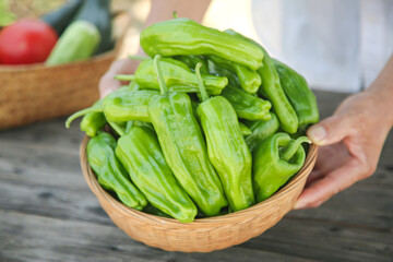 Fresh Green Chili Peppers in Wooden Bowl - Farmhouse Kitchen Vegetable Harvest