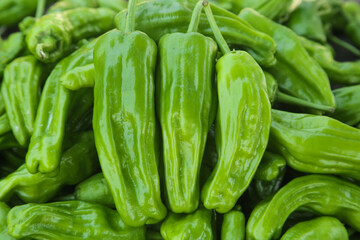 Fresh Green Tiger Skin Peppers - Hunan Style Vegetables for Asian Farmhouse Cooking