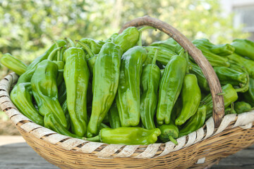 Fresh Green Peppers in Rustic Wicker Basket - Farm Fresh Vegetables for Healthy Cuisine