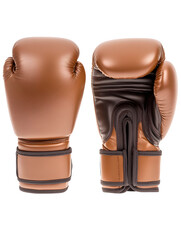 Professional boxing gloves showcasing power and performance, ready for training or competition in the ring