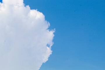 Fluffy white clouds floating under blue sky