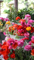 Colorful flowers in a wedding arrangement close-up. Red, pink and yellow ranunculus in a plastic bucket