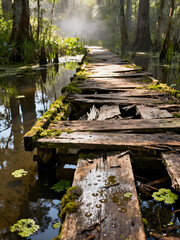 wooden bridge over the river