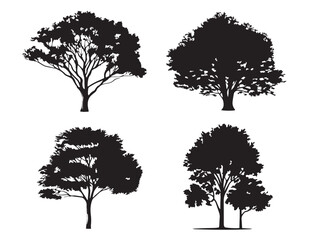 Fototapeta premium Artistic Ash Tree Composition in Minimal 2D Vector Line Art