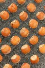 Fresh Hazelnuts in Shell on Decorative Metal Background - Healthy Nuts and Dried Fruit Collection