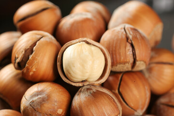 Fresh Hazelnuts Shelled and Unshelled Nuts with Kernels Close-Up
