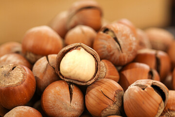 Fresh Hazelnuts with Shells and Kernels - Healthy Nuts for Cooking and Snacking