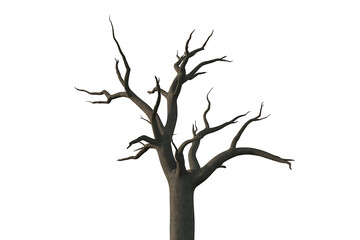 Obraz premium Bare, weathered tree branches reach skyward, stark against a plain backdrop, conveying desolation.