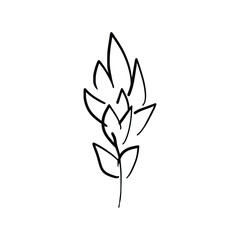 Hand drawn floral compositions in line art style. Elegant frame of flowers, stems and leaves. Trendy botanical elements. Vector illustration for logo or tattoo, save the date card, wedding invitation