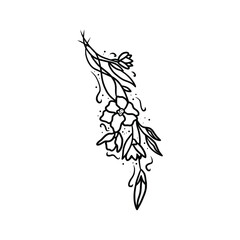 Hand drawn tattoo nature floral flowers, branches and leaves in line art style. Collection of sketches of botanical elements