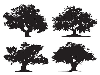 Fototapeta premium Fig Tree Silhouette Artwork for Elegant 2D Vector Line Art Projects
