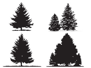 Mountain Fir Tree Silhouette Artwork in Premium 2D Vector Line Art