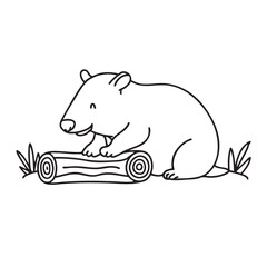 Obraz premium A wombat near a log resting on reddish soil