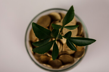 A plant sprouting from a jar of coins, symbolizing financial growth, investment, and prosperity....