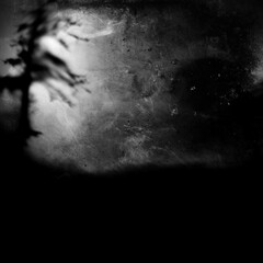 Scary horror tree, Spooky landscape, nature wallpaper