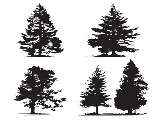 Pine Tree Silhouette Standing Tall in Winter 2D Vector Line Art