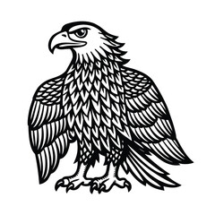 Eagle vector illustration on white background