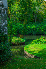 Lake Surrounded by Autumn Trees