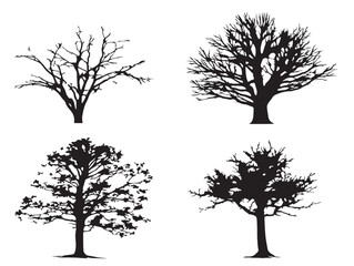 Obraz premium Winter Tree Detailed 2D Vector Line Art Collection
