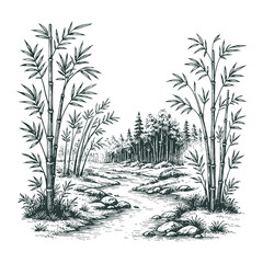 Detailed hand-drawn bamboo forest with flowing stream in vintage nature style. Ideal for zen artwork, prints, or eco-themed designs.