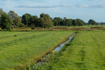 Bach © waechter-media.de