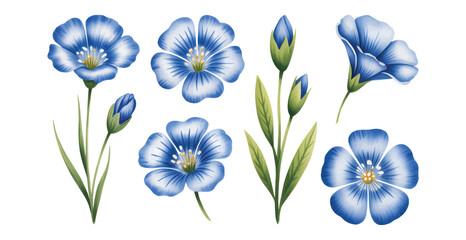 A set of watercolor blue flax flowers, buds, and green stems illustration. Vibrant floral botanical element collection