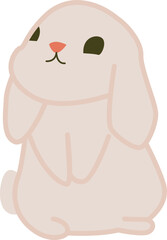 Cute Little Rabbit