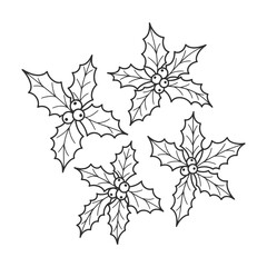 Four holly sprigs with berries, line art illustration.