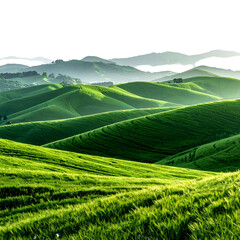 Obraz premium Lush green rolling hills in a landscape, bathed in sunlight. Distant mountains