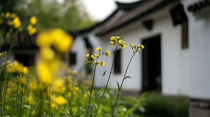 Blooming wildflowers bring color to a tranquil scene, with traditional architecture offering a serene backdrop. Nature's beauty meets cultural heritage.