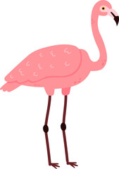 Pink flamingo bird standing tropical animal illustration