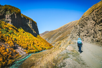 Fototapeta premium Solo hiker walking through a remote mountain path in the Caucasus, surrounded by golden autumn trees and rugged cliffs. Sense of freedom, adventure, and escape