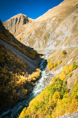 Mountain river winding through golden autumn forest in Truso Valley, Georgia. Bright sunlight contrasts with shaded slopes, creating a dramatic natural scene in the Caucasus