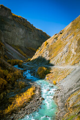 Mountain river winding through golden autumn forest in Truso Valley, Georgia. Bright sunlight contrasts with shaded slopes, creating a dramatic natural scene in the Caucasus