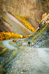 Two hikers walk through Truso Valley, Georgia, surrounded by golden autumn trees and dramatic basalt cliffs. A scenic and adventurous moment in the Caucasus Mountains