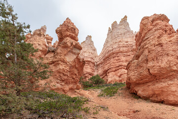 Fototapeta premium Hoodoo Rock Formation in Bryce Canyon National Park, Utah, USA