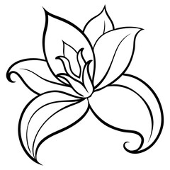 Stylized Lily Flower Outline Drawing floral bloom