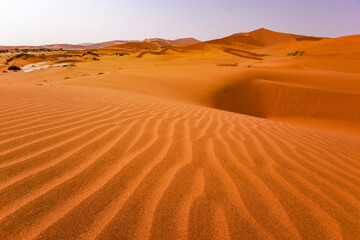 Wind-carved dunes in Namibia’s Namib Desert