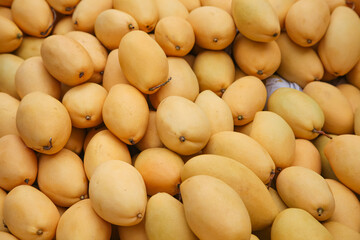 Fresh Golden Mango Fruits Pile - Brilliant Yellow Tropical Produce Background View © LuongThi