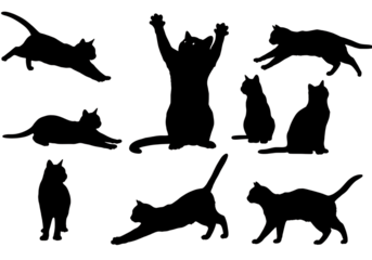 Set of cat silhouettes isolated on transparent background