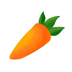 A carrot