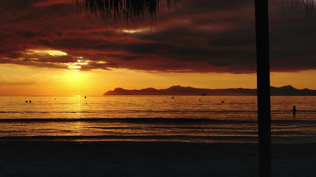 Sunset on the tropical seashore. Palm trees on the ocean shore. The perfect vacation.