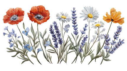 A colorful bouquet of flowers with a white background